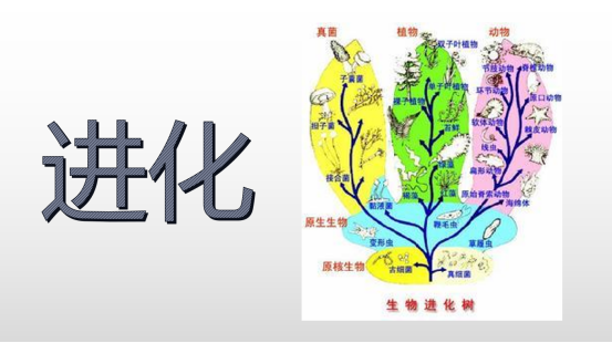 1617355846937617.png image.png